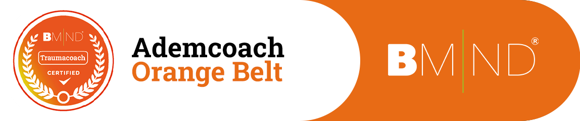 B-Mind Orange Belt - Trauma Coach
Jeroen Martens Groesbeek
